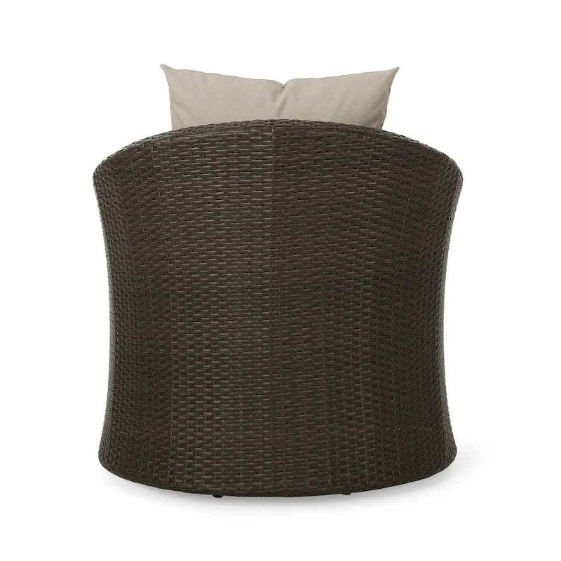 Darius Outdoor Wicker Aluminum Swivel Chair by Christopher Knight Home