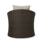 Darius Outdoor Wicker Aluminum Swivel Chair by Christopher Knight Home