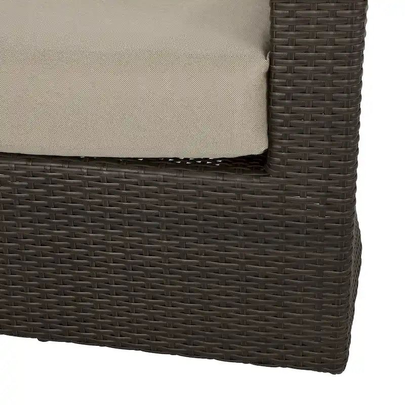 Darius Outdoor Wicker Aluminum Swivel Chair by Christopher Knight Home