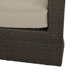 Darius Outdoor Wicker Aluminum Swivel Chair by Christopher Knight Home