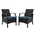 Outdoor Patio Rattan Dining Chairs (Set of 2)